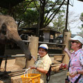 Maetaeng Elefantencamp