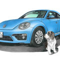 車絵イラスト　ビートルと犬