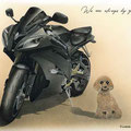 バイクと犬のイラスト絵