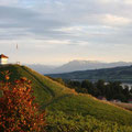 Abendstimmung mit Blick ins Seetal