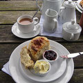 Cream Tea. Eine der besten Erfindungen der Engländer! :-)