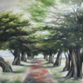 The Drive Way 180x180cm