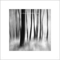 Title: "blurry trees 03, square", may 2018, abstract, trees, fine art black & white photography  (printed on "bamboo")