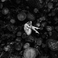 Serie SEHNSUCHT