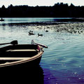 Burgäschisee im Sommer