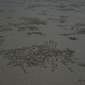 Die werden von so kleinen Krabben gemacht, die beim Graben der Loecher den Sand in Kugelform ausstossen... das sieht echt lustig, ja teilweise sogar kuenstlerisch aus.