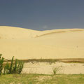 Dies sind die riesigen Sandduenen...