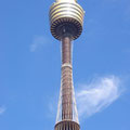 ... den 305 m hohen Sydney Tower...
