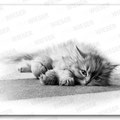 "play with me" pencil drawing - 40x25cm