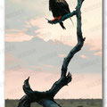 "gaukler" acryl on canvas - 174x124cm