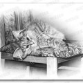 "my chair" pencil drawing - 40x25cm