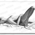 "desire" 98x50cm
