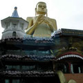 Dambulla Sri Lanka