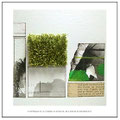 抽象画と植物を組み合わせたアート作品。　※詳細→http://shihohonda.jimdo.com/gallery-menu/art-plant/