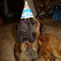 Happy Birthday Zeus