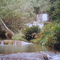 Dunn's River Falls