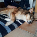 Prince