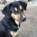 Ean