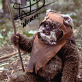 Warwick Davis - Wicket