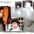 Sherilynn Fenn as Audrey Horne