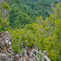 Los Tilos, La Palma, Spanien