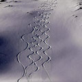 unsere Spuren im Powder