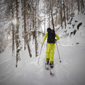 Harry mit Splitboard unterhalb Pila im Lärchenwald