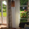 Rosen vorm Fenster