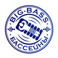 Название и логотип для компании "Big-Bass", продающей бассейны и оборудование для них, Самара, 2012 г.