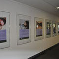 Bilderausstellung "Leben im Verborgenen" Foyer Charité Berlin