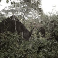 Ruine im Nationalpark Bokor Hill Station