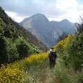 Wanderung nach Ano Mavriki durch blühende Sträucher und Blumen