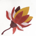 SOUTHERN TILES_CAROCIM Zementfliese_Tree of Life_Lotus VH212, 20x20 cm