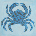 SOUTHERN TILES_CAROCIM Zementfliese, Crabe M331, 20x20 cm
