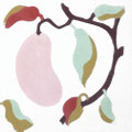 SOUTHERN TILES_CAROCIM Zementfliese_Tree of Life_Manguita VH207, 20x20 cm