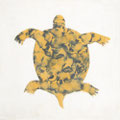 SOUTHERN TILES_CAROCIM Zementfliese, Tortue M403, 20x20 cm
