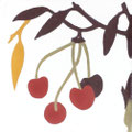 SOUTHERN TILES_CAROCIM Zementfliese_Tree of Life_Cerises VH202, 20x20 cm