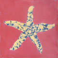 SOUTHERN TILES_CAROCIM Zementfliese, Etoile de Mer M365, 20x20 cm