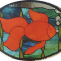 Goldfisch, vorrätig