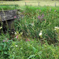 Brücke über die Ohm in Wettsaasen. Foto: Lothar Kalok