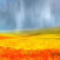 Summerrain