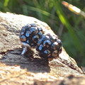 Shamballa Beads Ohrstecker
