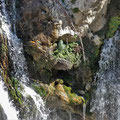 Kourtaliotis Schlucht - Aussichtspunkt oberhalb der Quellen.