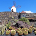 Jardin de Cactus - eine alte Windmühle gehört auch dazu.