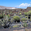 Jardin de Cactus - Blick von der oberen Mauerempore