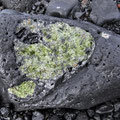 Verschiedene Olivineinschlüsse in Lava.