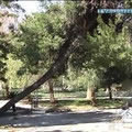 Adrano, villa comunale, giardino della vittoria