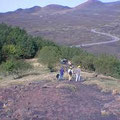 Adrano, parco dell'etna, pineta