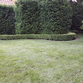Rollrasen inkl. aller vorbereitenden Arbeiten von GreenFairway e.K.