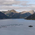 Sifjord und Aquafarm